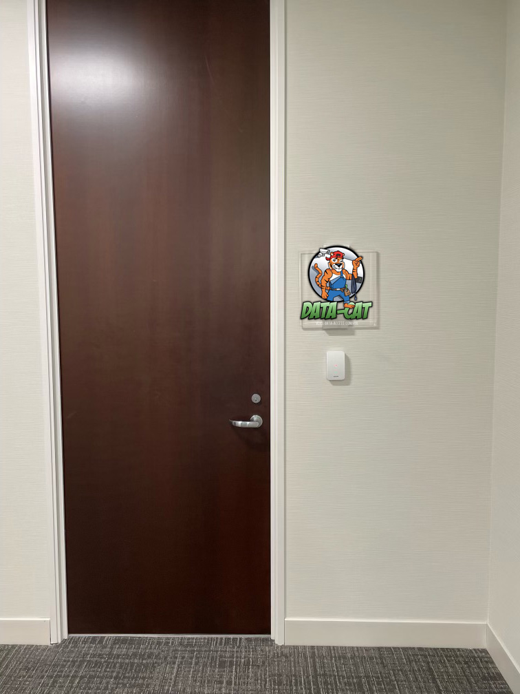 Access Control door strike